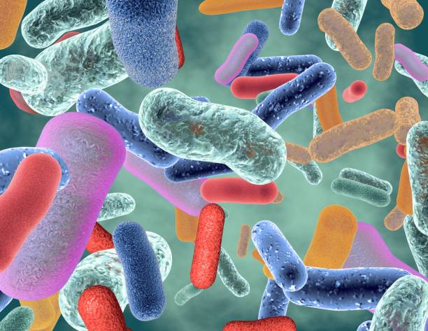 The Gut Microbiome & Gut Health